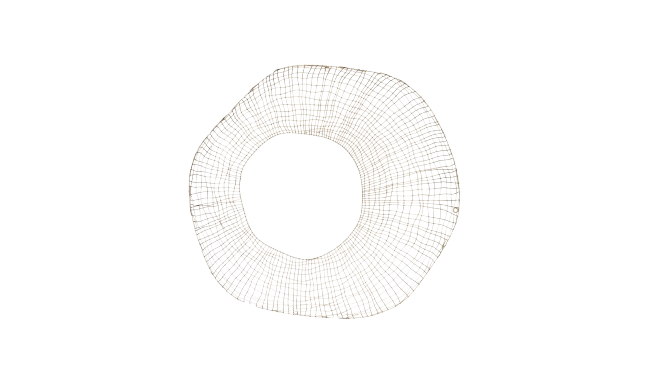 Limpet Metal Wall Décor